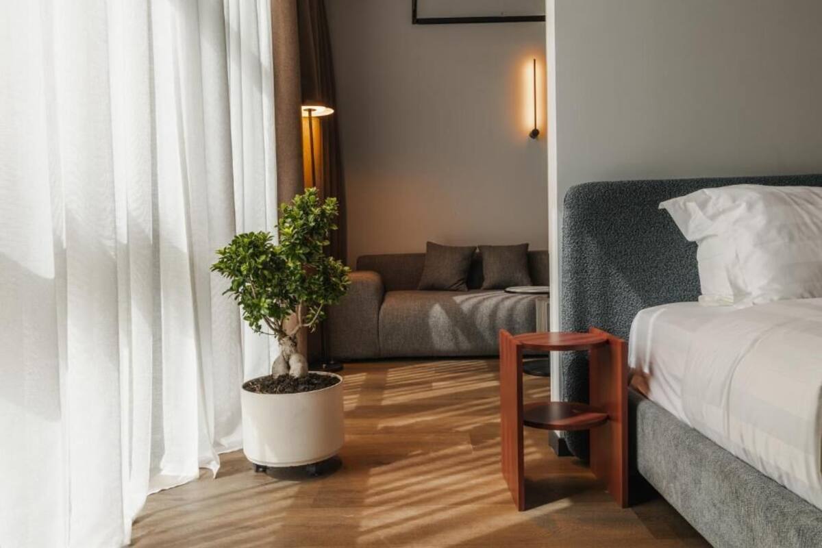 Una habitación de hotel moderna con una cama, un sofá, una mesita y una planta en maceta.