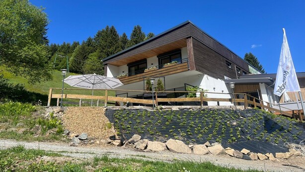 Et moderne hus med to etager, en altan, et flag og en have med planter.