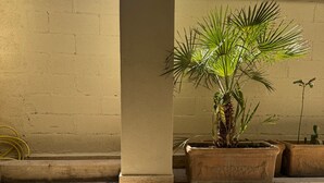 A concrete floor with a large pillar, a potted plant, and a number '1' marking. - Levante Eight Sea View Holiday Home with Sea View, Wi-Fi, and Air Conditioning (Bari)