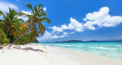 Caribbean Dream: Sun-soaked Sailing Adventure from Tortola, Islas Vírgenes Británicas