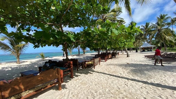 Ein Strand mit Holzbanken, Palmen und freiem Blick auf den Ozean.