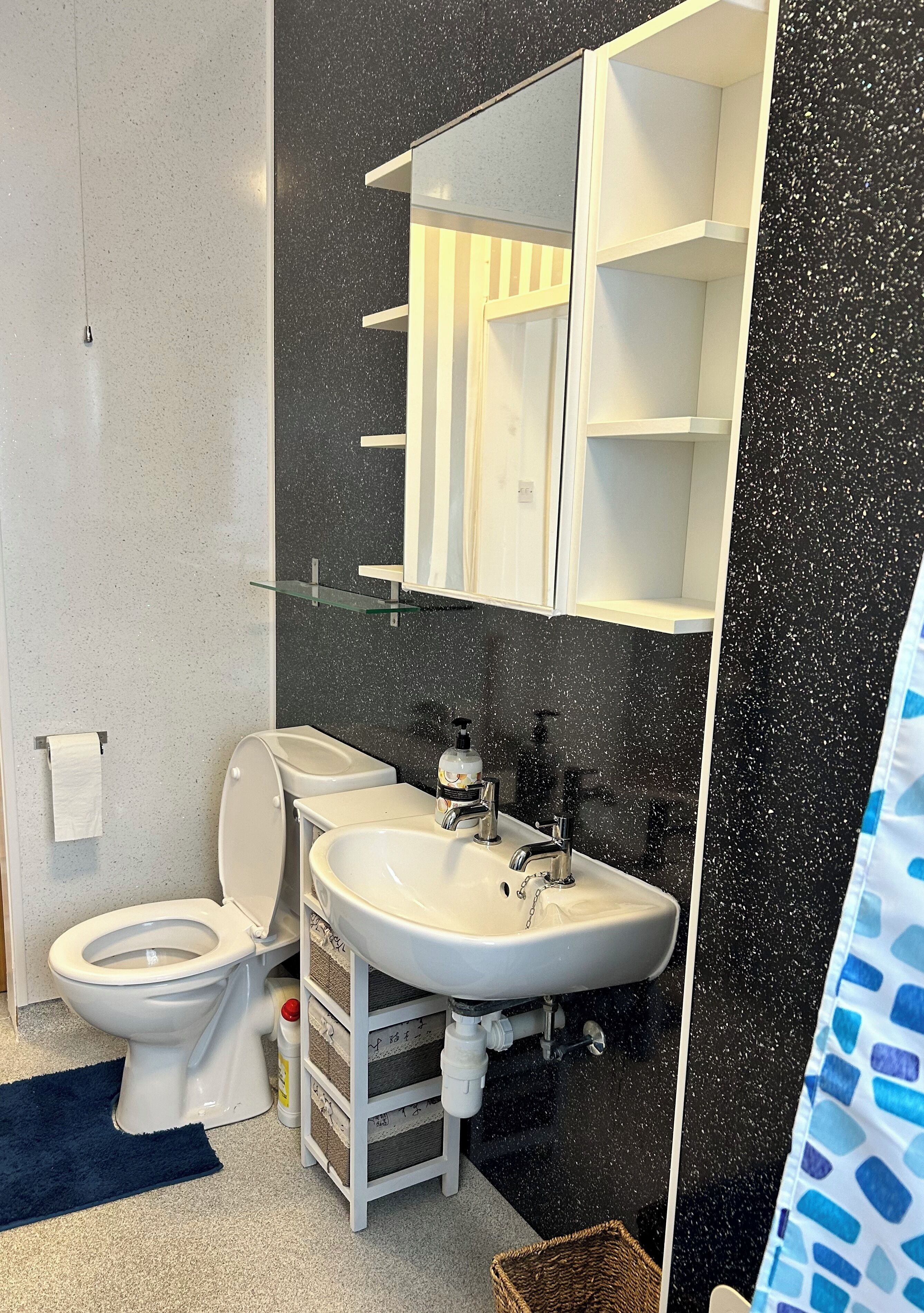 A bathroom with a toilet, sink, and mirror.