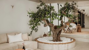 Un saló modern amb un gran arbre en una jardiniera circular, un sofà beix, una taula de centre i una cadira de fusta.