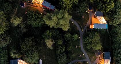 1 Bed Vehicle Luxury Camper -hot Tub, Pets - Willy