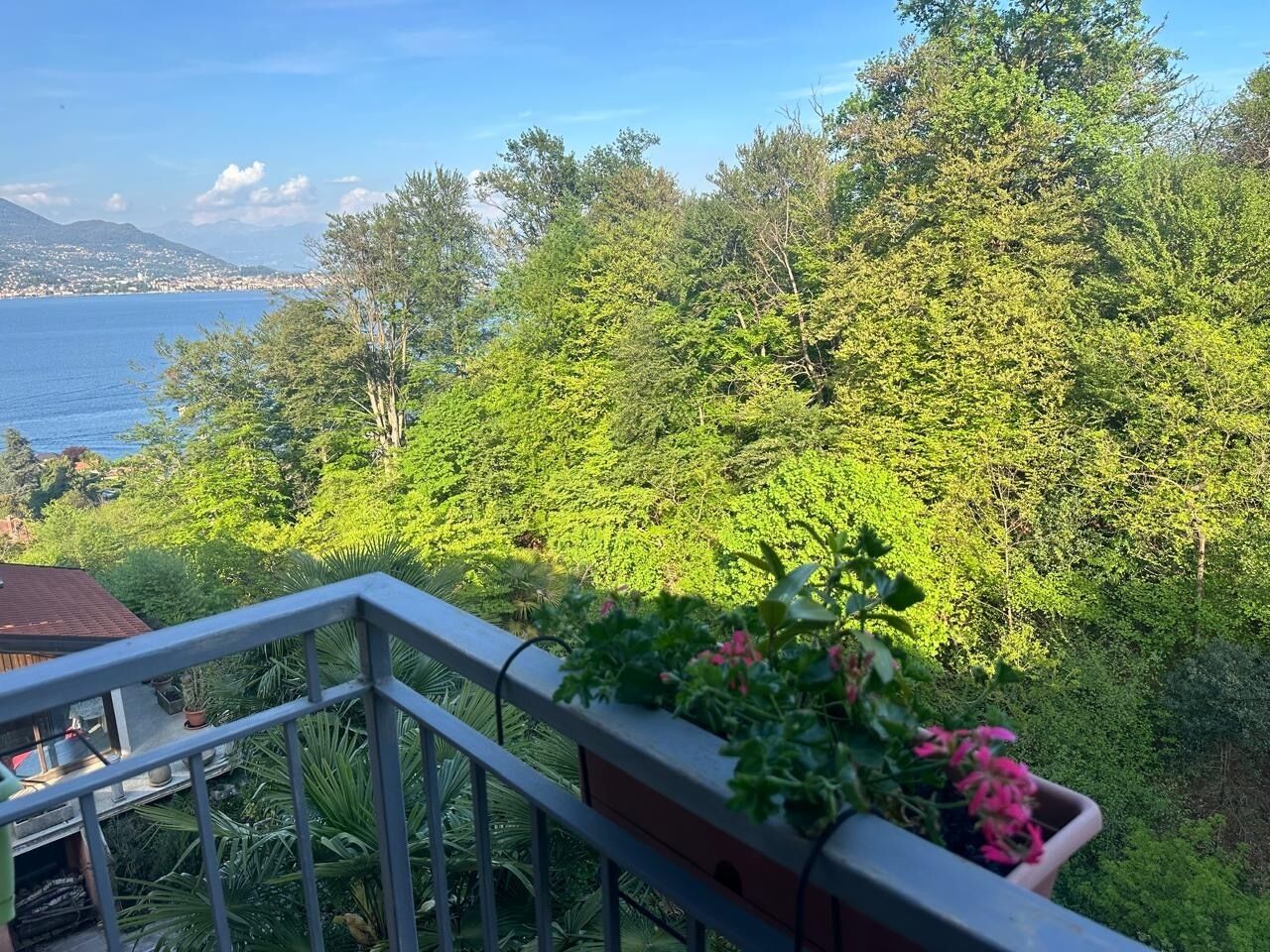 Parco della struttura