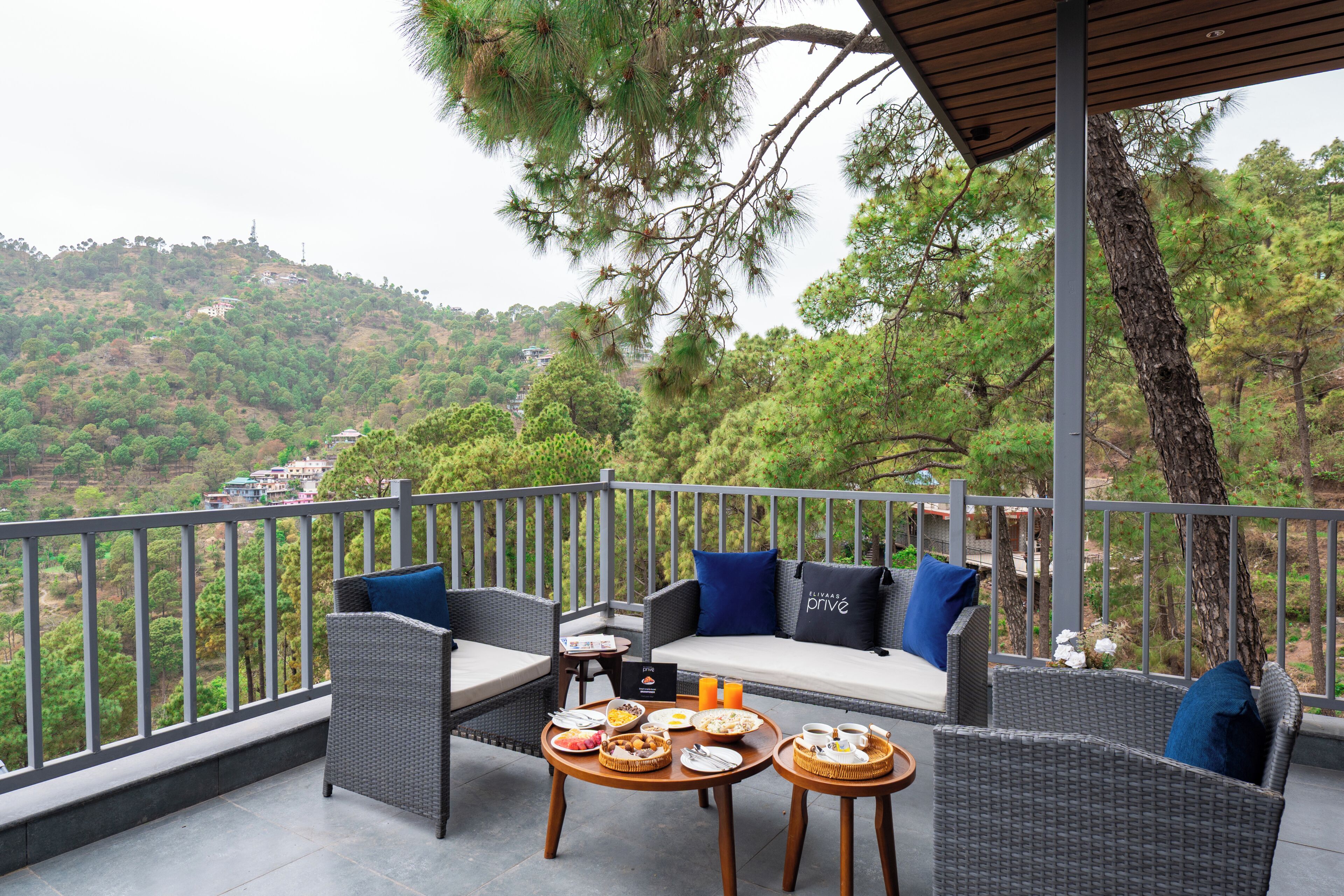 Luksus-villa | Overnatningsstedets område