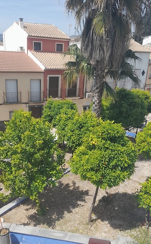 Un quartier résidentiel avec des maisons, un palmier et des arbustes verts bien entretenus.