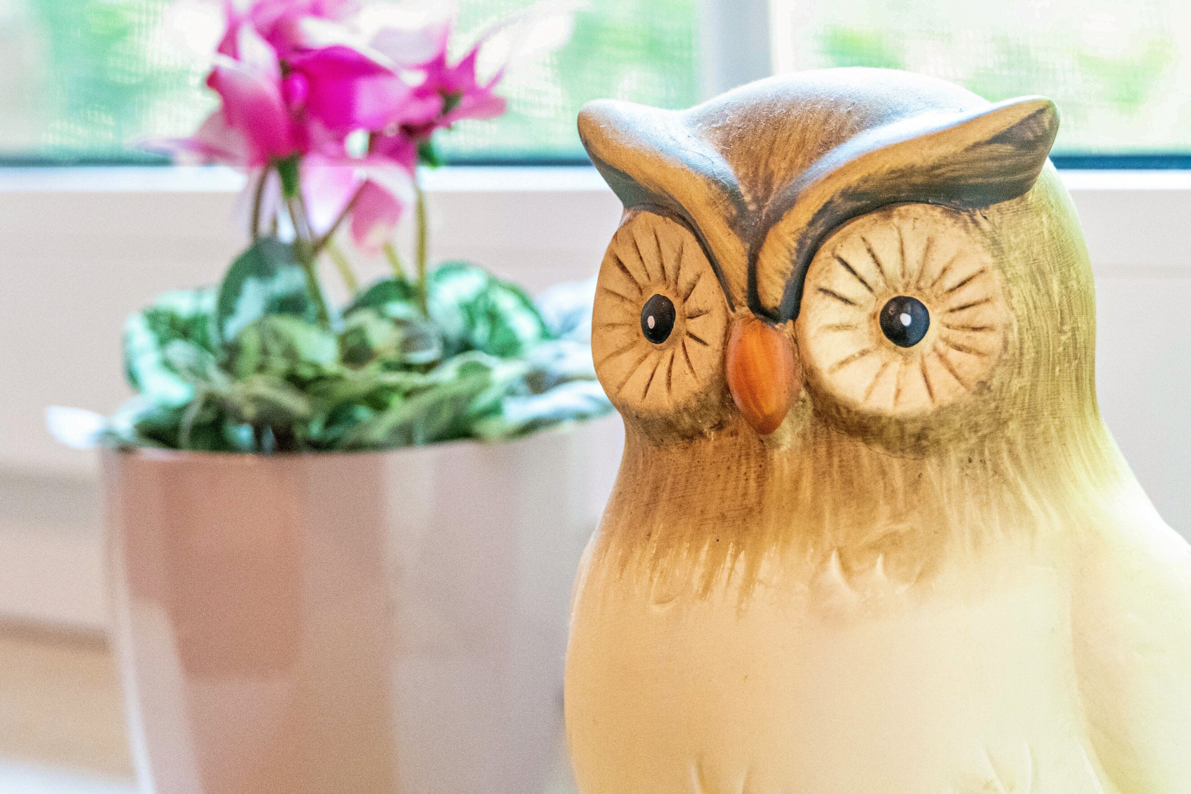 A ceramic owl figurine next to a potted plant.