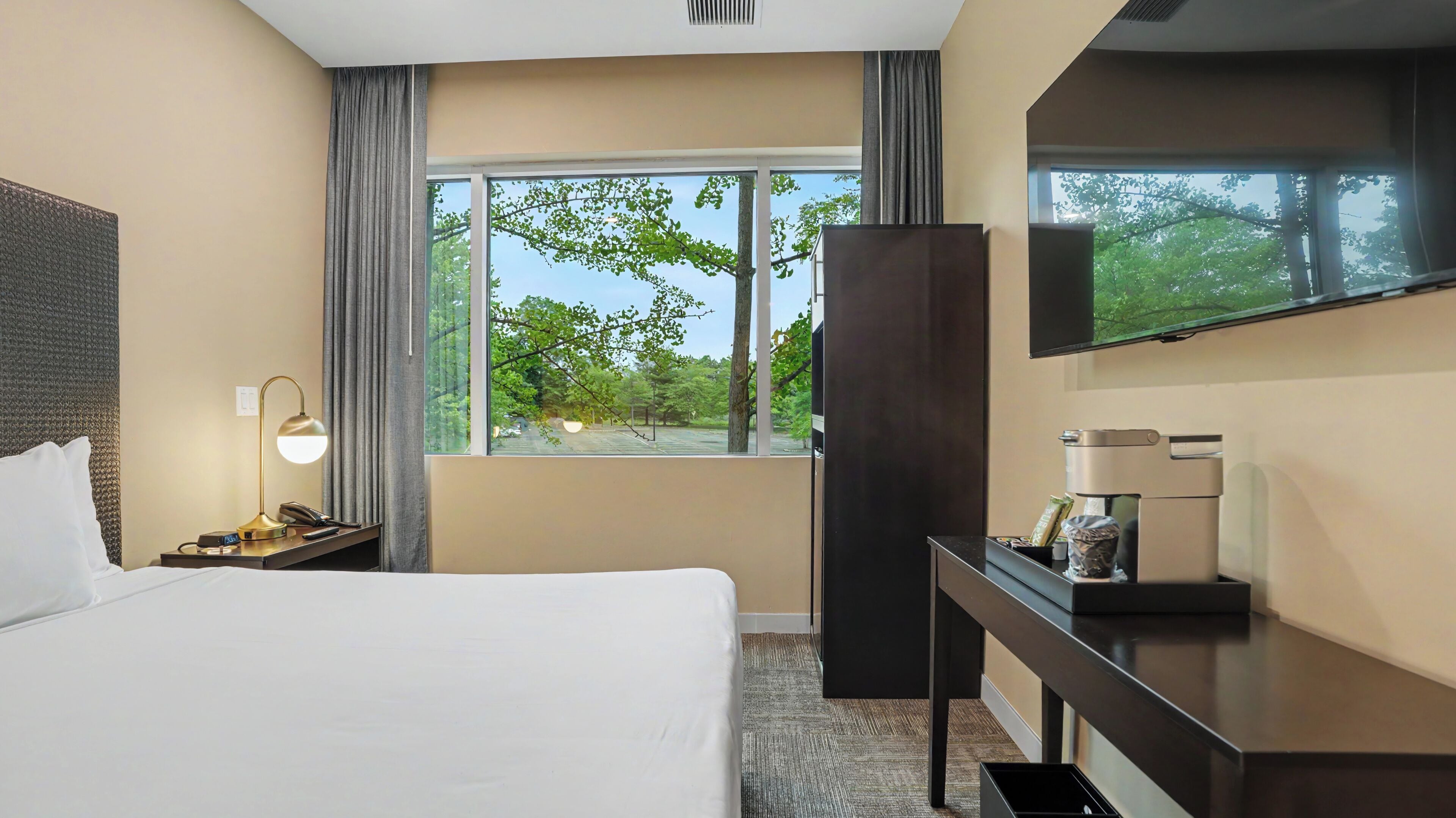 A hotel room with a bed, a desk, a TV, and a window with a view of trees.