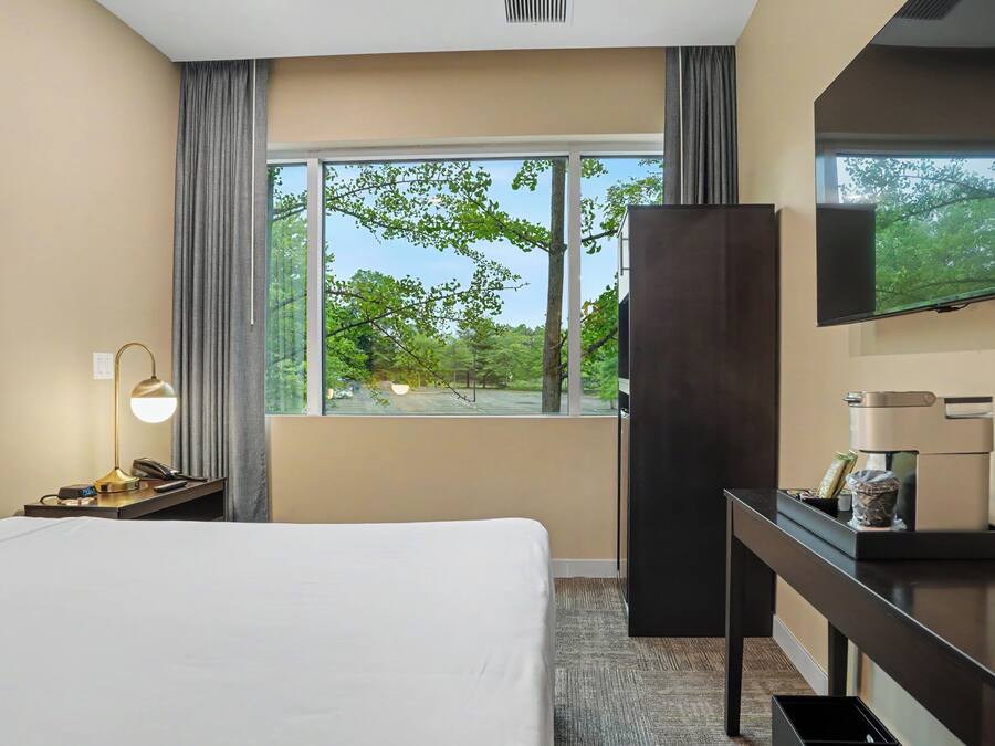 Habitación de hotel con cama, escritorio, televisor y ventana con vistas a árboles.