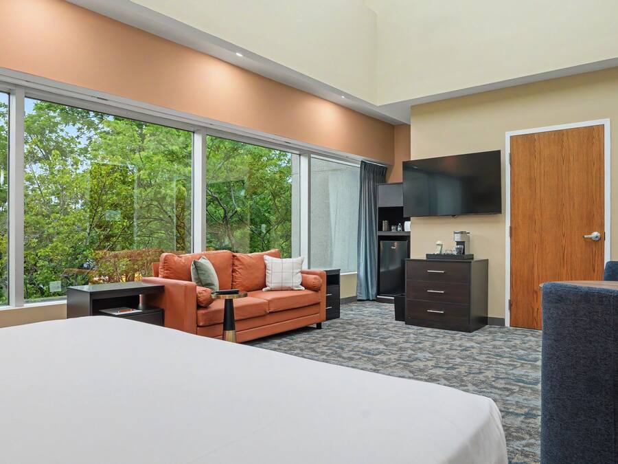 A hotel room with a large bed, a sofa, a TV, a wooden door, and a view of trees through large windows.