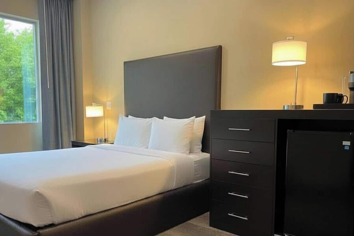 Room, 1 Queen Bed, Non Smoking