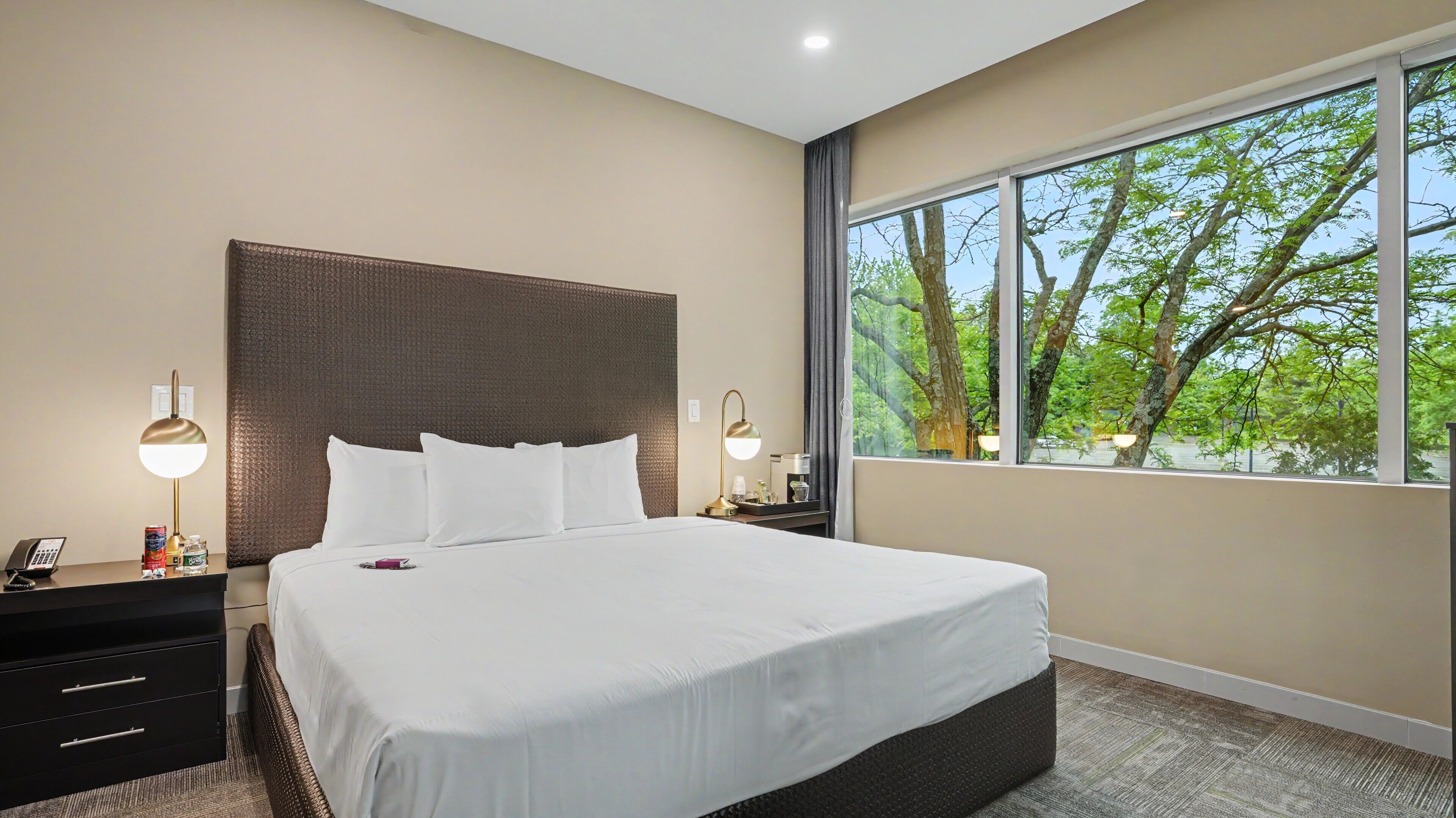 Une chambre d’hôtel avec un grand lit, deux tables de chevet, une commode, une fenêtre donnant sur des arbres et un luminaire au plafond.