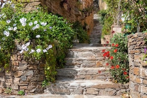 Una escalera de piedra rodeada de follaje y flores.