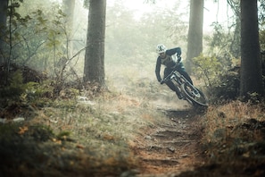 Ein Mountainbiker auf einem Feldweg, umgeben von Bäumen.
