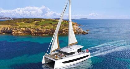 Caribbean Dream: Sun-soaked Sailing Adventure from Tortola, Islas Vírgenes Británicas