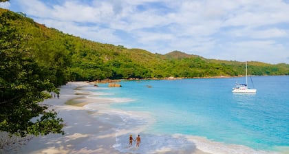Seychelles Sun-Soaked Sailing: A Pristine Beach Experience from Praslin