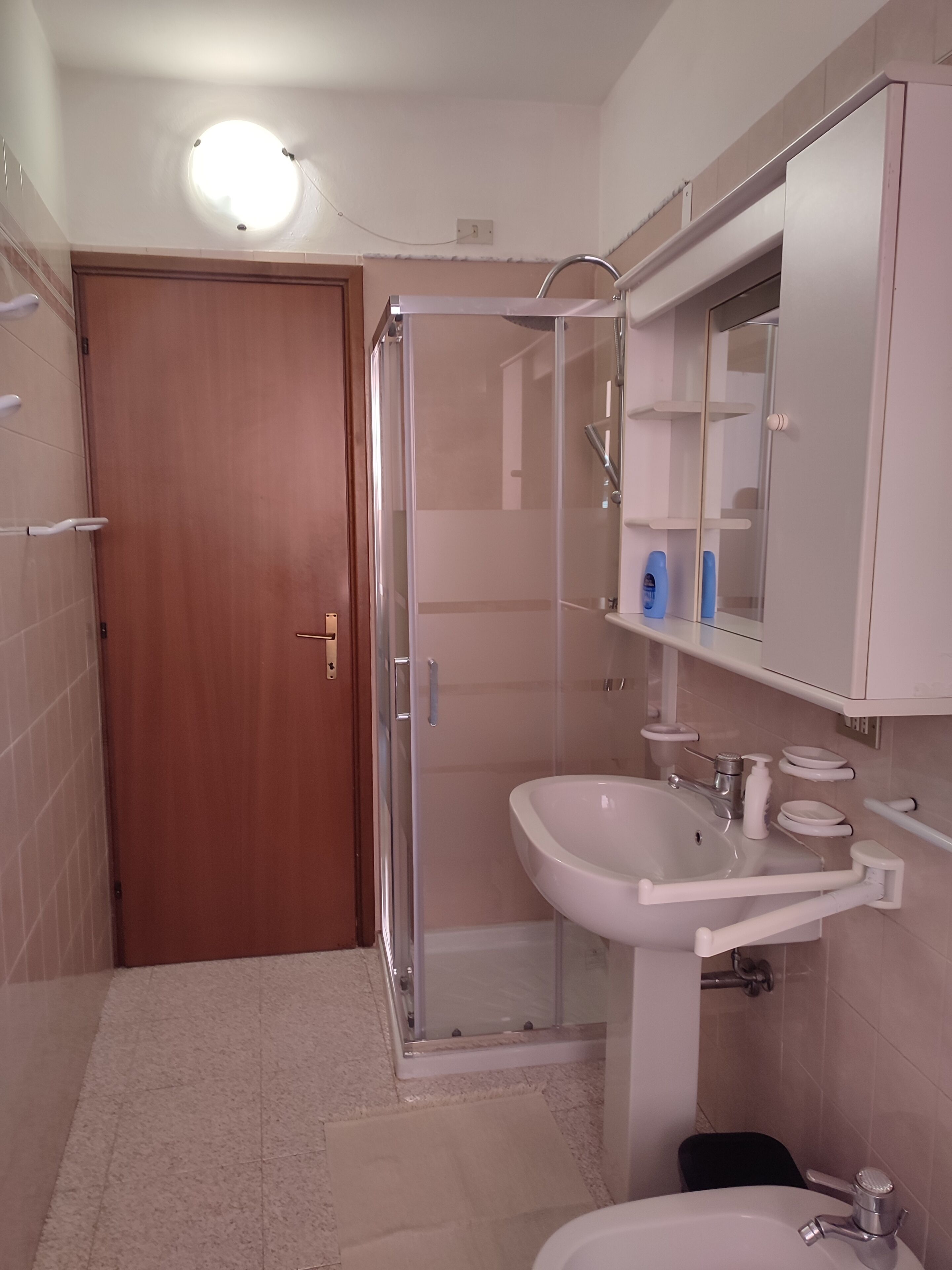 A bathroom with a shower, sink, and mirror.