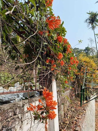 施設の敷地. Peaceful Stay in Zitlang | A Serene Nature Retreat for a Refreshing Getaway
