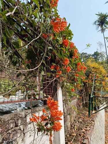 Peaceful Stay in Zitlang  | A Serene Nature Retreat for a  Refreshing Getaway