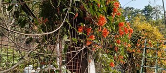 Peaceful Stay in Zitlang  | A Serene Nature Retreat for a  Refreshing Getaway