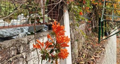 Peaceful Stay in Zitlang | A Serene Nature Retreat for a Refreshing Getaway