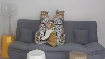 Chambre Simple Deluxe, vue jardin | Coin séjour