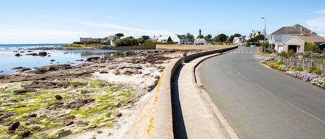 A coastal road with houses on one side and a rocky shoreline on the other.