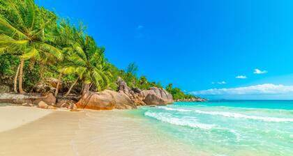 Seychelles Sun-Soaked Sailing: A Pristine Beach Experience from Praslin