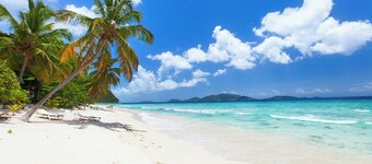 Caribbean Dream: Sun-soaked Sailing Adventure from Tortola, Islas Vírgenes Británicas