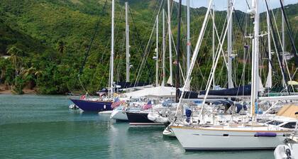 Caribbean Dream: Sun-soaked Sailing Adventure from Tortola, Islas Vírgenes Británicas