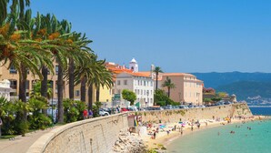 A coastal cityscape with a stone wall, palm trees, and buildings with red roofs.
