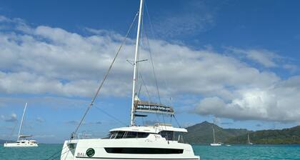 Caribbean Dream: Sun-soaked Sailing Adventure from Tortola, Islas Vírgenes Británicas