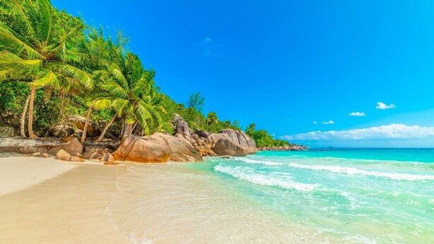 Uma praia com águas turquesa cristalinas, areal arenoso e palmeiras.