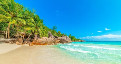 Seychelles Sun-Soaked Sailing: A Pristine Beach Experience from Praslin