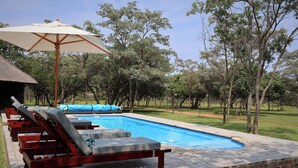 Una piscina con sillas de descanso y una sombrilla, rodeada de árboles.