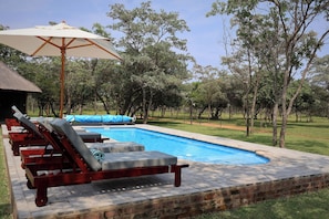 A swimming pool with lounge chairs and an umbrella, surrounded by trees.