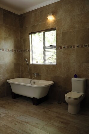 Shower, hair dryer, towels, toilet paper - Hemel Bushveld Lodge: self-catering accommodation Vaalwater (P6RR+7HX Goedgedacht)