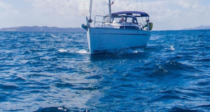 Caribbean Dream: Sun-soaked Sailing Adventure from Tortola, Islas Vírgenes Británicas