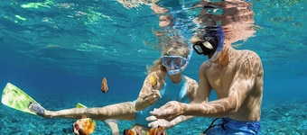 Caribbean Dream: Sun-soaked Sailing Adventure from Tortola, Islas Vírgenes Británicas