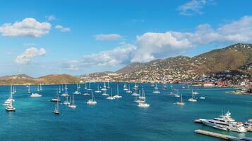 Un puerto deportivo con numerosos veleros amarrados, un pueblo costero al fondo y un cielo azul despejado.