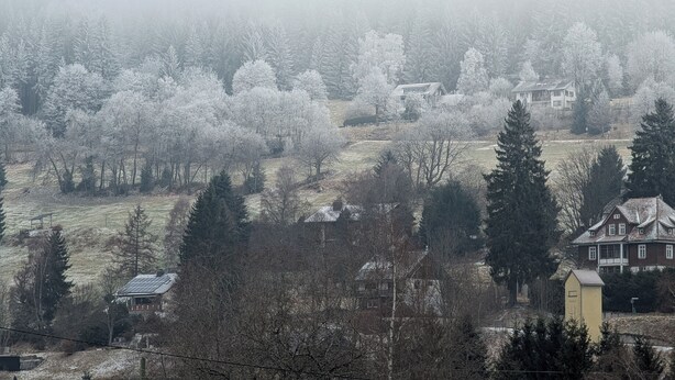 Ett dimhöljt landskap med hus och träd.