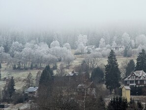 Exterior - Vacation apartment for 2 persons (Feldberg (Schwarzwald))