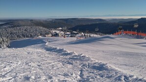 En snötäckt skidbacke med skidliftar, träd och berg i fjärran.