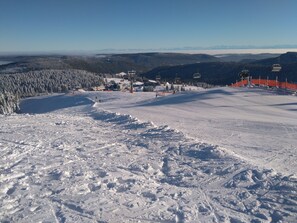 Snow and ski sports - Vacation apartment for 2 persons (Feldberg (Schwarzwald))