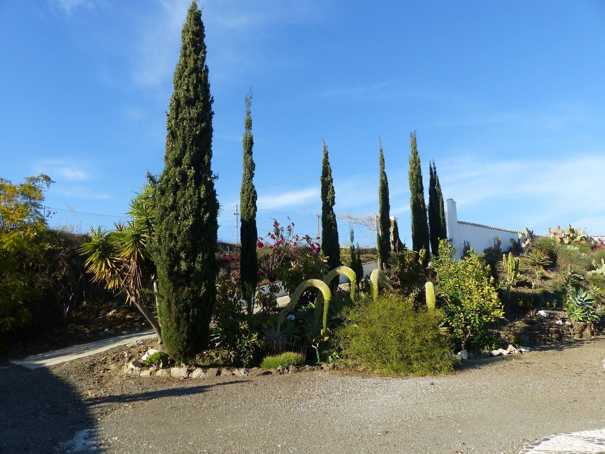 Área da propriedade