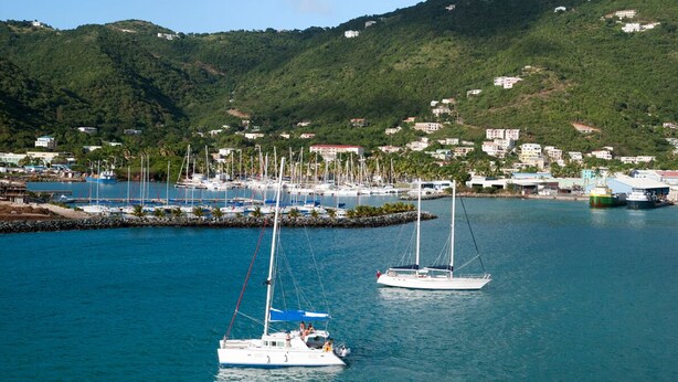 Un puerto deportivo con barcos, un muelle y una colina con edificios.