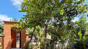 Um jardim com uma estrutura de tijolos, um caminho e diversas plantas.