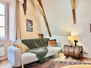 TV - Apartment in historic Quimper, view over the rooftops (Quimper)