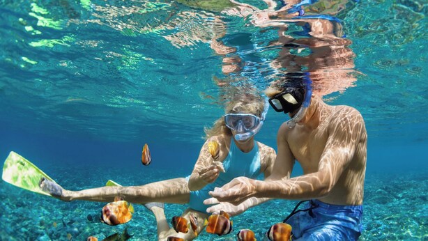 An underwater scene with clear water, a person holding a paddle, and several fish. - Sun-Kissed Sailing Adventure in Cataluña (Volos)